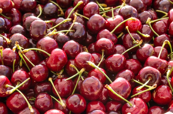 Sweet cherries on display at the market — Stock Photo, Image