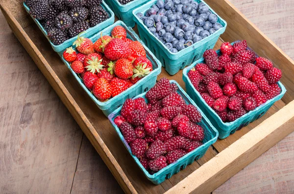 Boxes of fresh berries just picked at the market — Stock Photo, Image