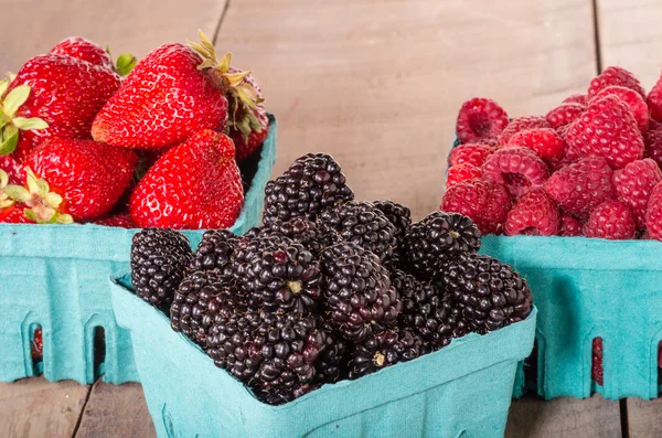 Boxes of fresh berries just picked at the market — Stock Photo, Image