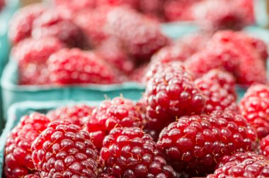 taze tayberries'ndeki Market