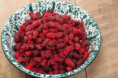 Büyük kase taze tayberries