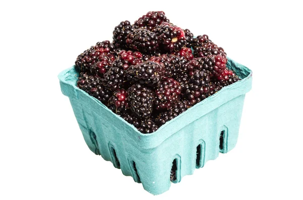 Basket of Marionberries isolated on white — Stock Photo, Image