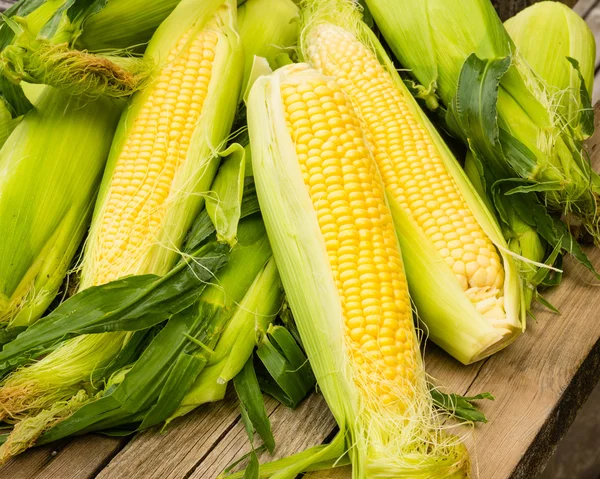 Ears of fresh yellow sweet corn — Stock Photo, Image