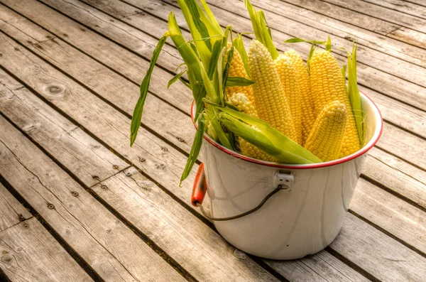 Bucket of fresh yellow sweet corn — Stock Photo, Image