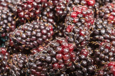 Markette taze tatlı marionberries