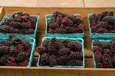 marionberries sepetleri ile ahşap kutu
