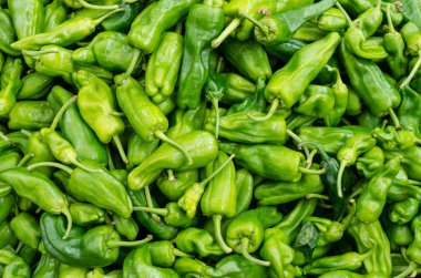 Padron biber bir toplu görüntüleme