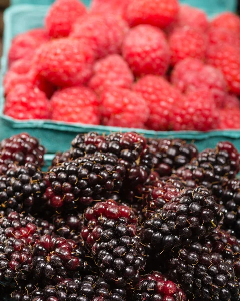 Marionberries 및 빨간 나무 딸기 바구니 — 스톡 사진