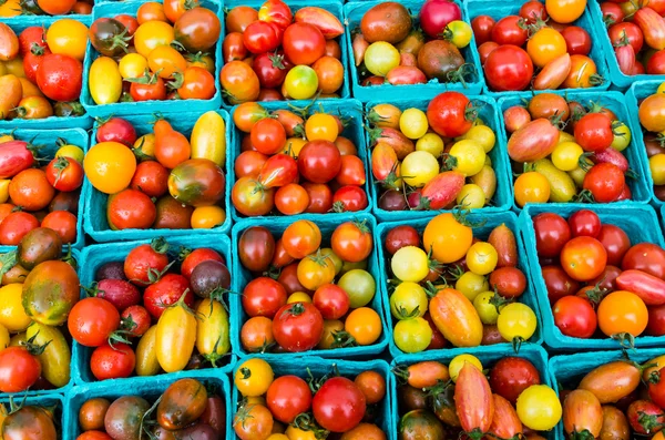 Tomater i lådor på marknaden — Stockfoto