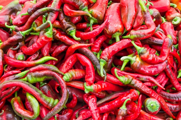 Red hot peppers on display — Stock Photo, Image