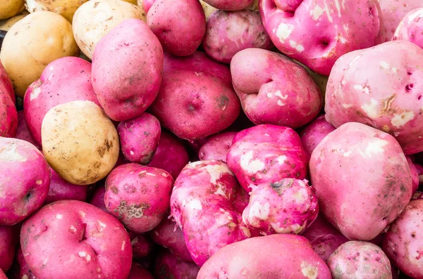 Червона картопля на ринку — стокове фото