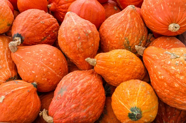 Oranje hubbard squash op de markt — Stockfoto