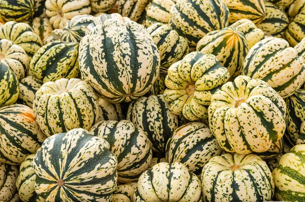 Sweet dumpling vinter squash på marknaden — Stockfoto