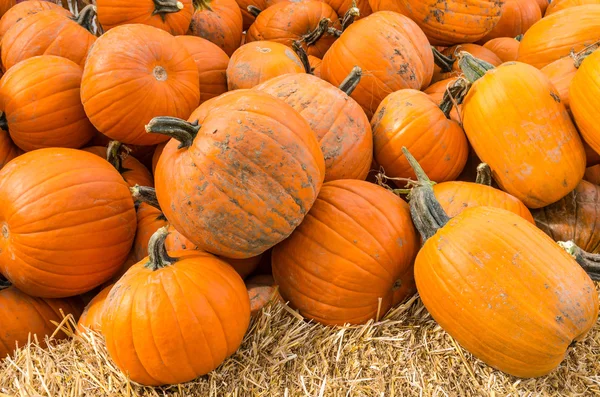 Pumpkins on display at the market — Stock Photo, Image