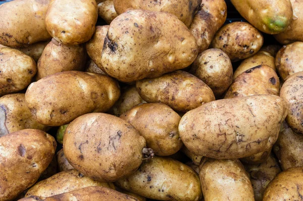 Potatoes russet or baking in bulk — Stock Photo, Image