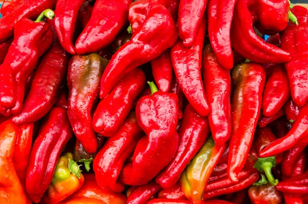 Rode hete pepers op de markt — Stockfoto