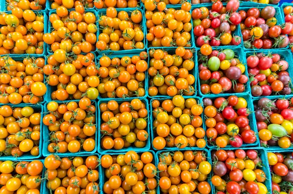 Sepet Market kiraz domates — Stockfoto