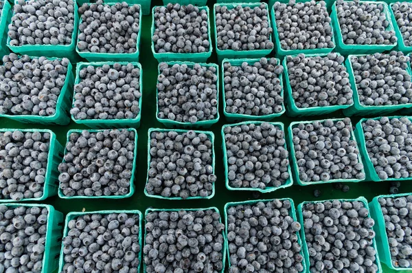 Blueberries in boxes at the market — Stock Photo, Image