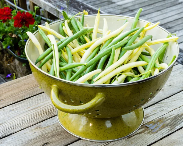 Schüssel mit frisch gepflückten gelben und grünen Bohnen — Stockfoto