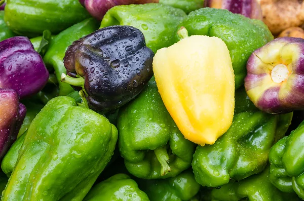 Paprika Bell hijau kuning di pasar — Stok Foto