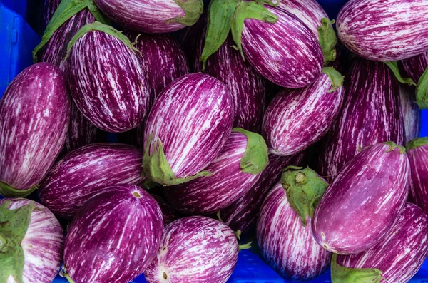 Eggplants with stripes at the market — Stock Photo, Image