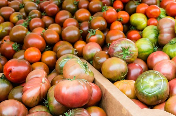 Tomatoes at the farmers market — Stock Photo, Image