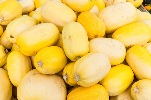 Spaghetti squash at the farmers market