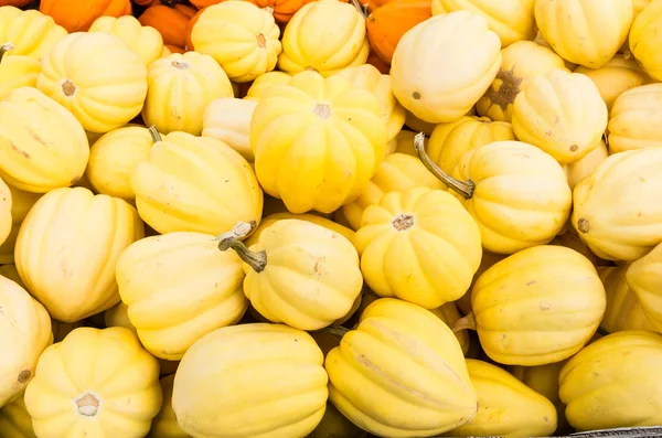 Sárga acorn squash a piacon — Stock Fotó