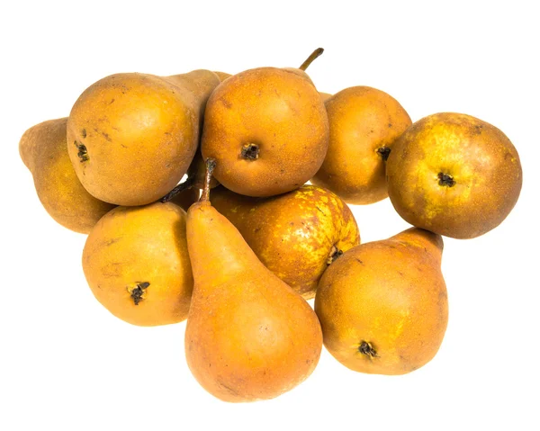 Bosc pears isolated on white — Stock Photo, Image