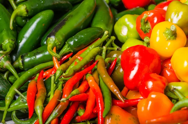 Pimentos quentes em exibição prontos para uso — Fotografia de Stock