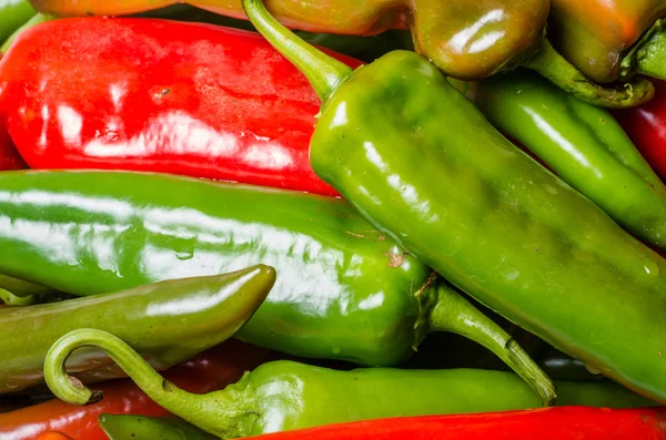 Hot peppers on display ready to use — Stock Photo, Image