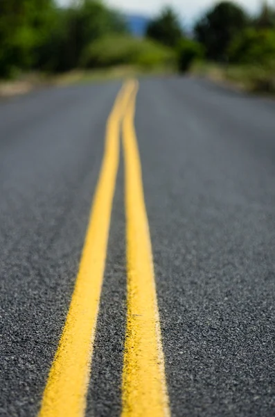 Yellow lines on rural roadway