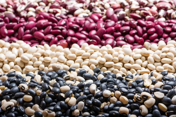 Dried beans in several colors — Stock Photo, Image