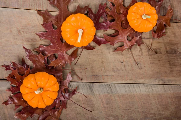 Kabak ve sonbahar yaprakları dekorasyon için — Stok fotoğraf