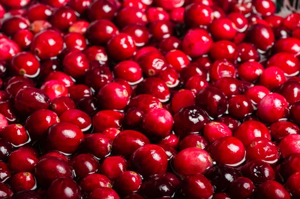 Red cranberries in sauce pot — Stock Photo, Image