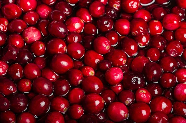 Red cranberries in sauce pot — Stock Photo, Image