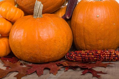 kabaklar Mısır ve sonbahar yaprakları