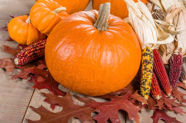 Pumpkins indian corn and fall leaves — Stock Photo, Image