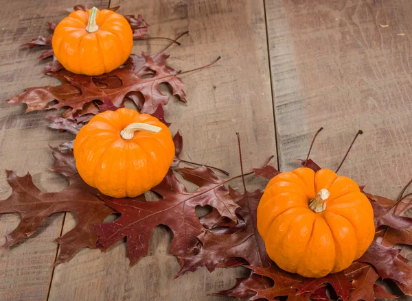 Pumkins and fall leaves for decoration — Stock Photo, Image