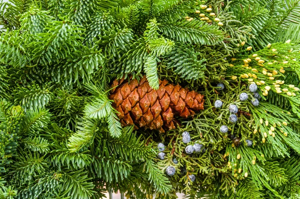 Frische Weihnachtsdekoration mit Grüntönen — Stockfoto