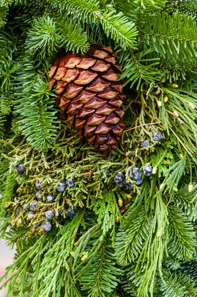 Fresh Christmas decorations with greens — Stock Photo, Image