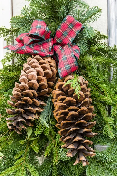 Fresh Christmas decorations with greens — Stock Photo, Image