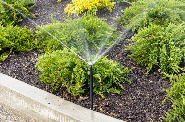 Irrigation sprinklers watering landscape — Stock Photo, Image