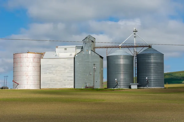 Gruppo di silos di magazzinaggio dei cereali — Foto Stock