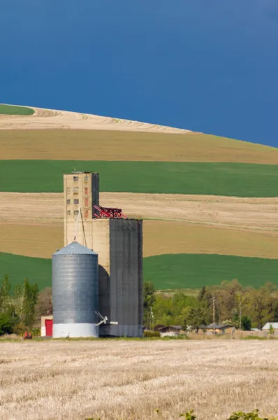 穀物貯蔵用サイロ、フィールドでのエレベーター — ストック写真