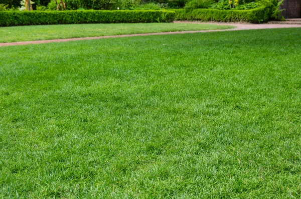 Bright green grassy lawn in a garden — Stock Photo, Image