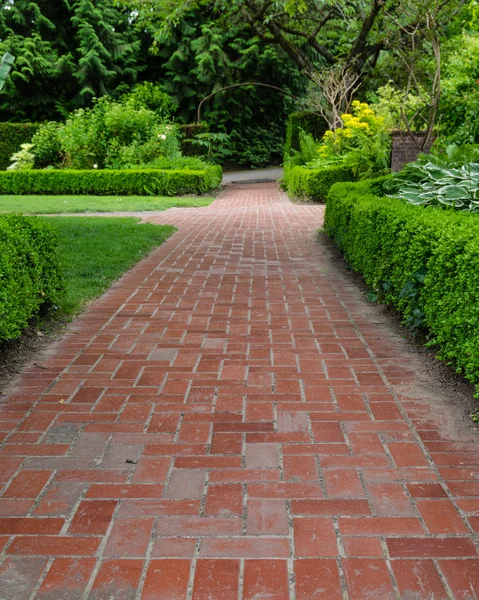 Caminhos de tijolo através de um jardim — Fotografia de Stock