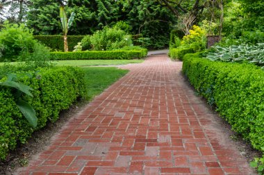 Brick pathways through a garden clipart