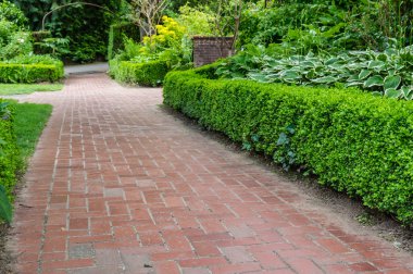 Brick pathways through a garden clipart
