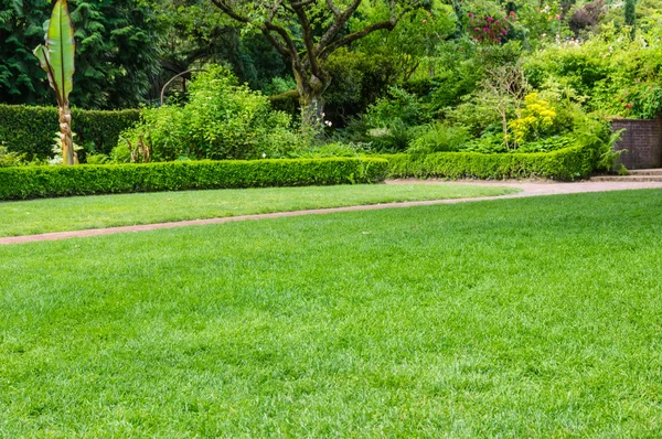 Gräsbevuxen gräsmatta och planterade sängar i en trädgård — Stockfoto